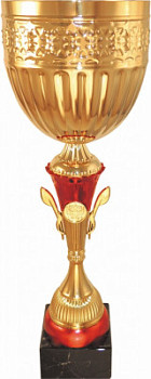 Кубок 550